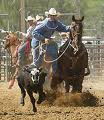 rodeo cowboy steer wrestling