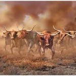 Western heroes: Stuart Brannon was a rancher & cattleman