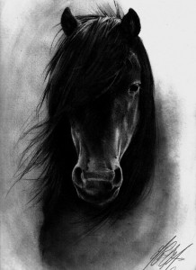 Flight fear blog about Stuart Brannon's black horse Tres Vientos