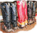 assorted cowboy boots