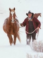 Cowboy poetry cowboy in snow