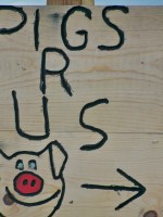 Sign Pigs R Us