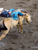 Cody Wyoming Rodeo