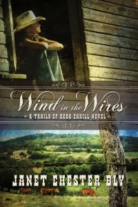 Reba Cahill Series, Book 1, Wind in the Wires by Janet Chester Bly
