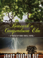 1991 Facts and Beneath A Camperdown Elm, Book 3, Trails of Reba Cahill Series