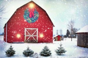 Christmas barn