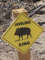Javelina Crossing Sign