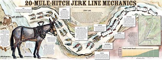 Jerk Line Mechanics