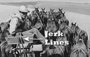 Jerk Lines