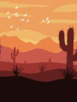 Desert cactus through the valley
