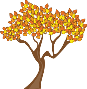 Autumn Season Tree