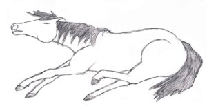 Drawing of dead horse